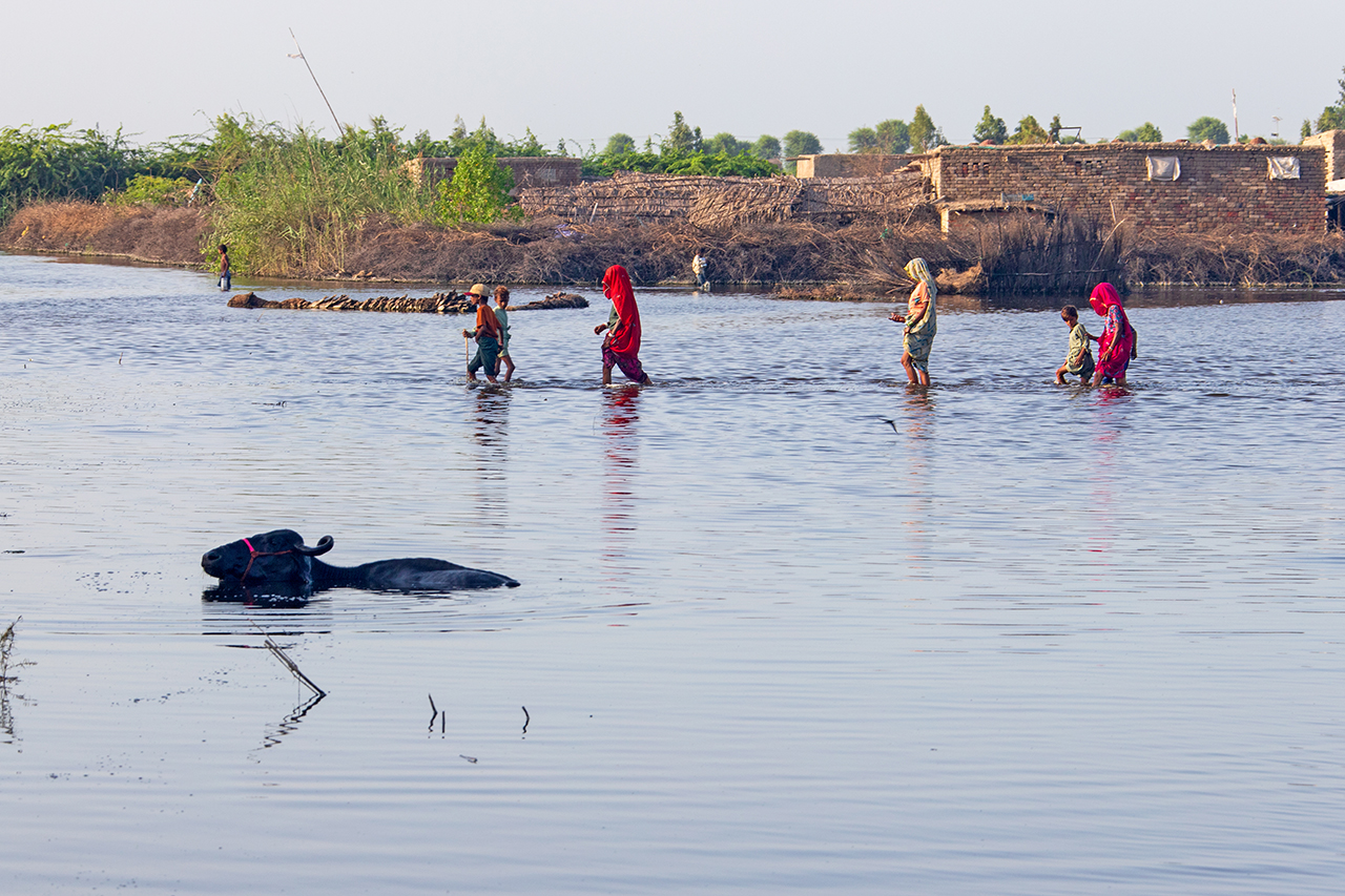 Pakistan Floods