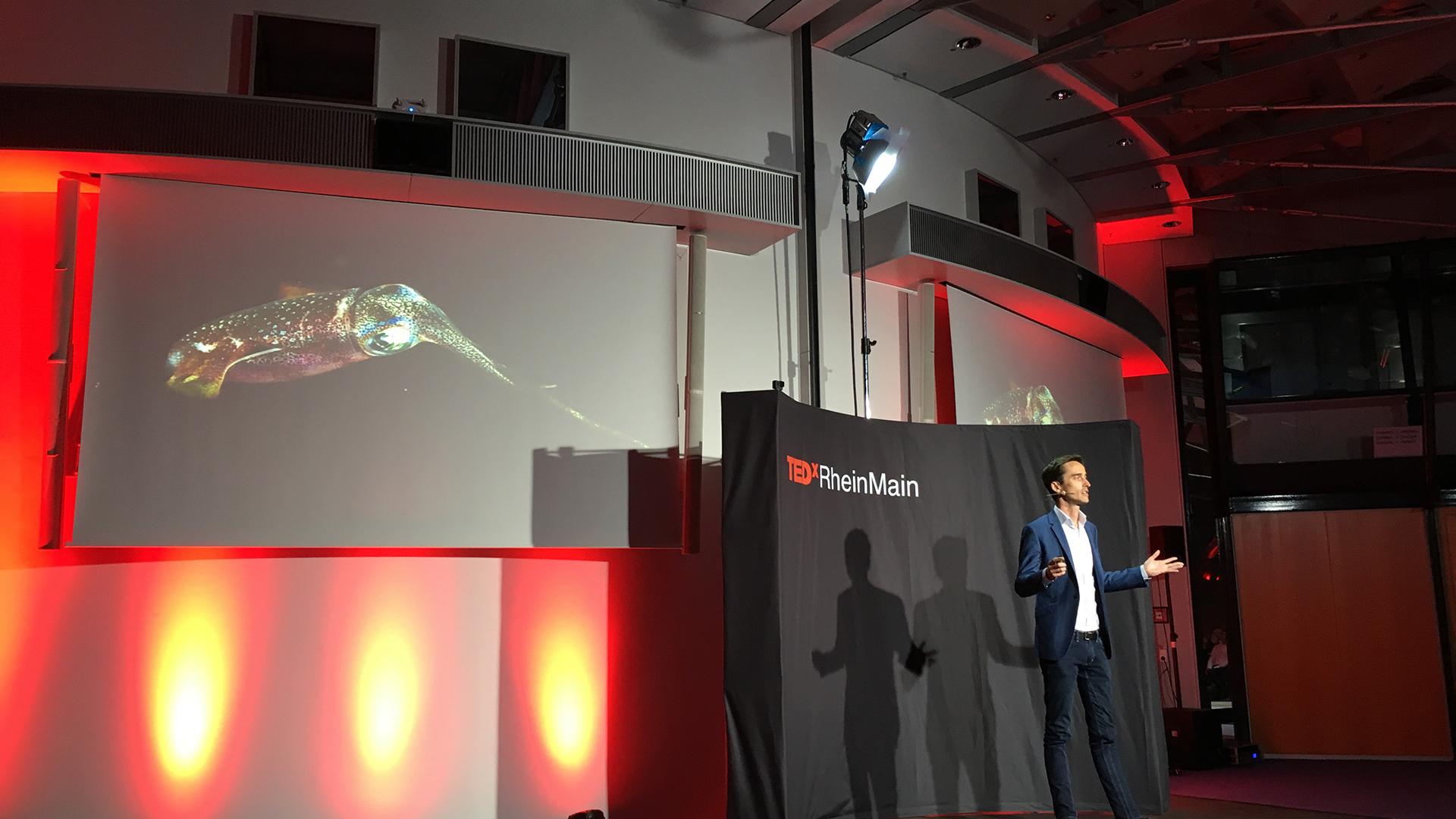 Image - Press Release - 20171116 - TEDx