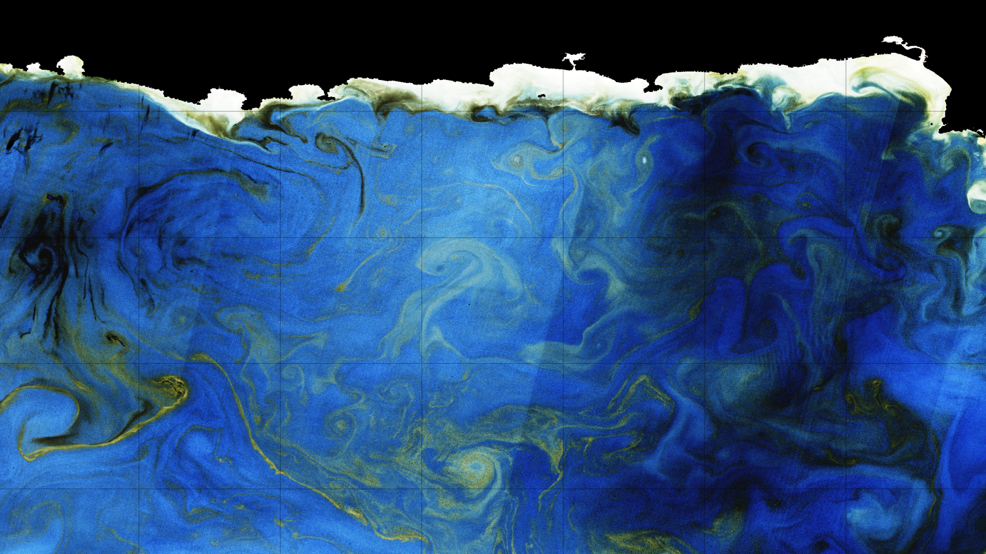  A Noctiluca scintillans bloom in the north Arabian Sea on 2 March 2017