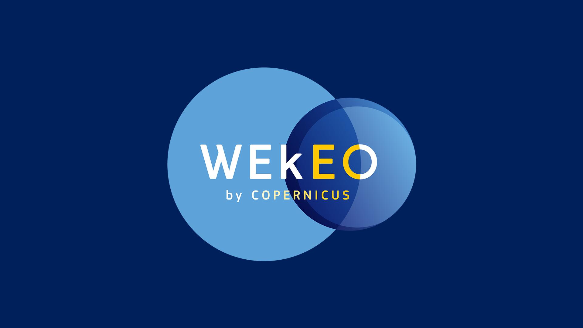wekeo logo wekeo logo