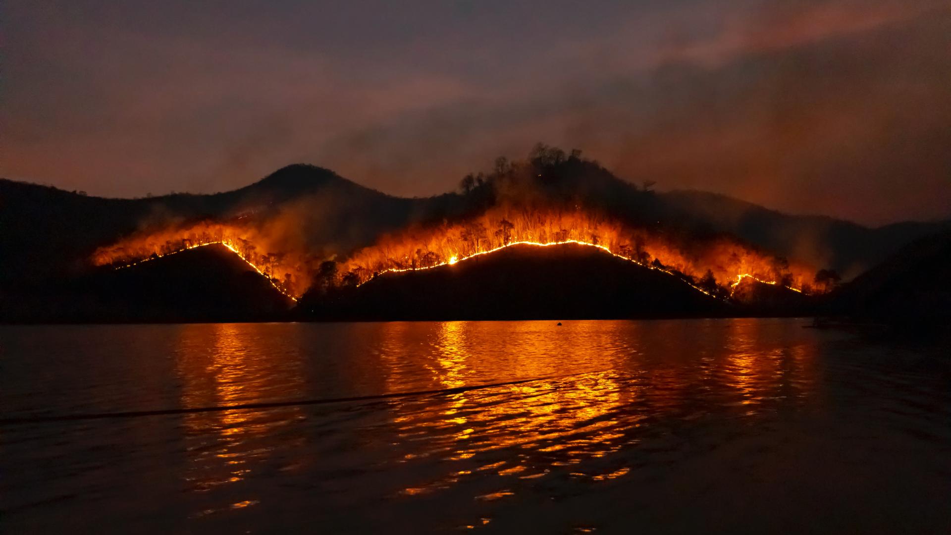 forest fire image forest fire image