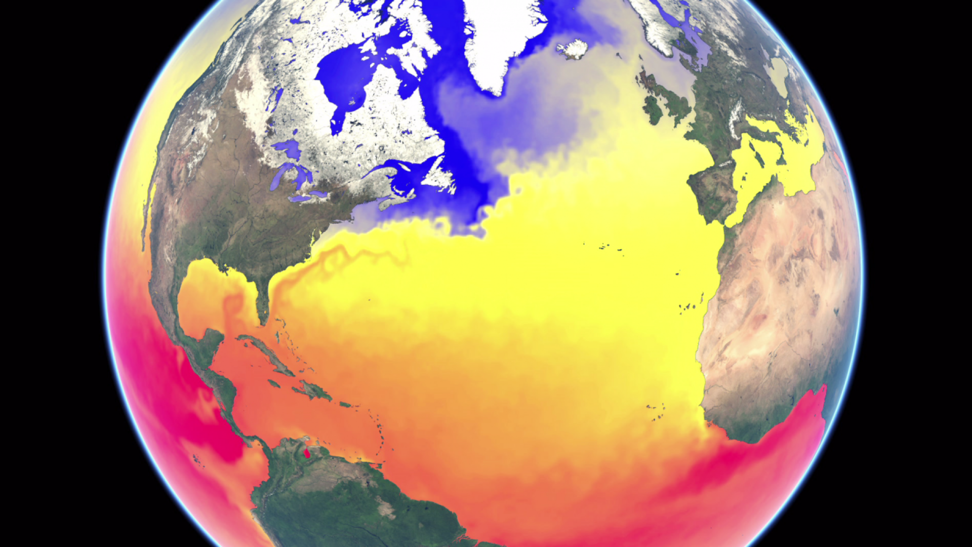 A year of Sea Surface Temperature A year of Sea Surface Temperature