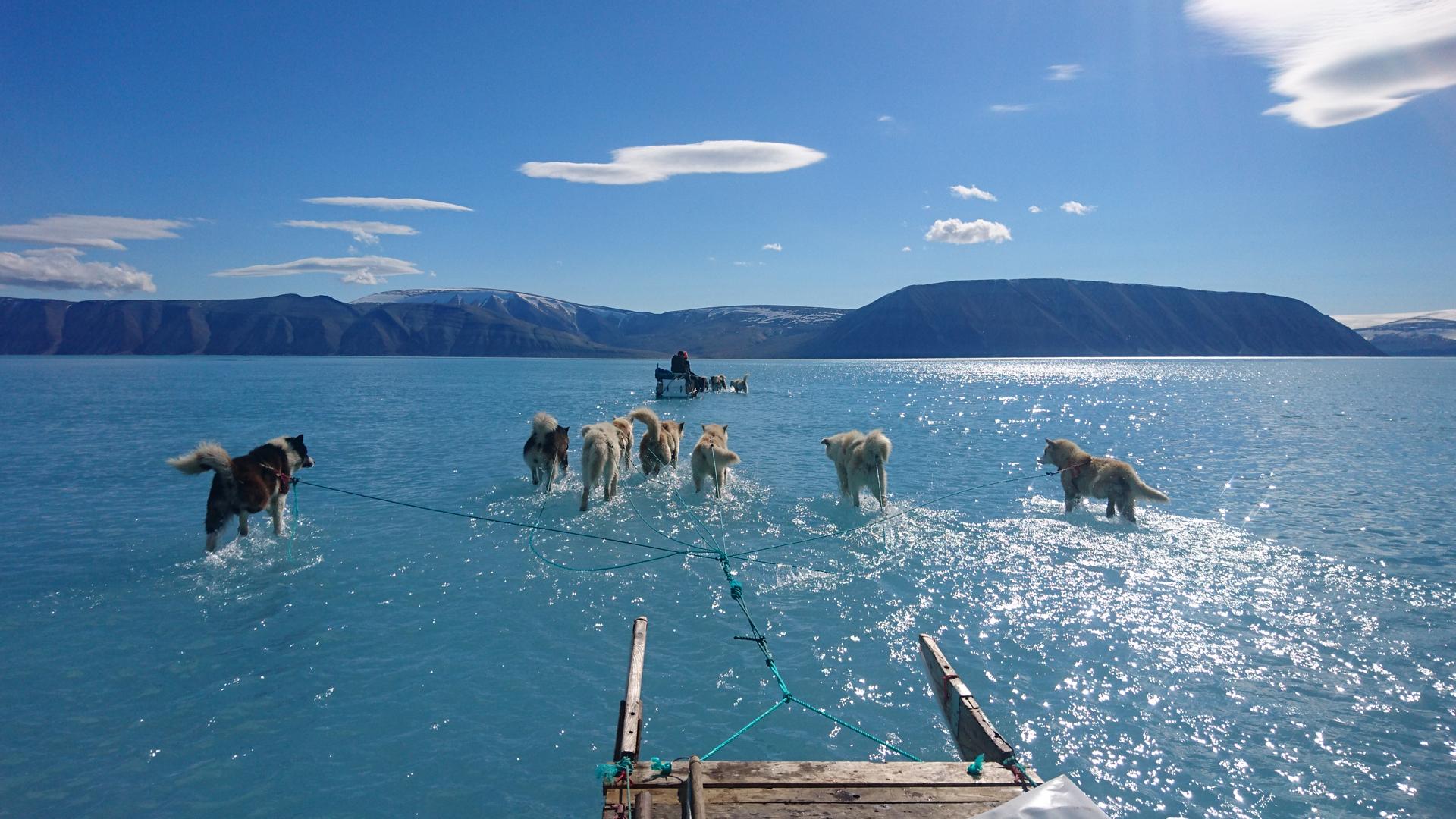 Arctic sea ice minimum 2019 – how did it fare this year Arctic sea ice minimum 2019 – how did it fare this year