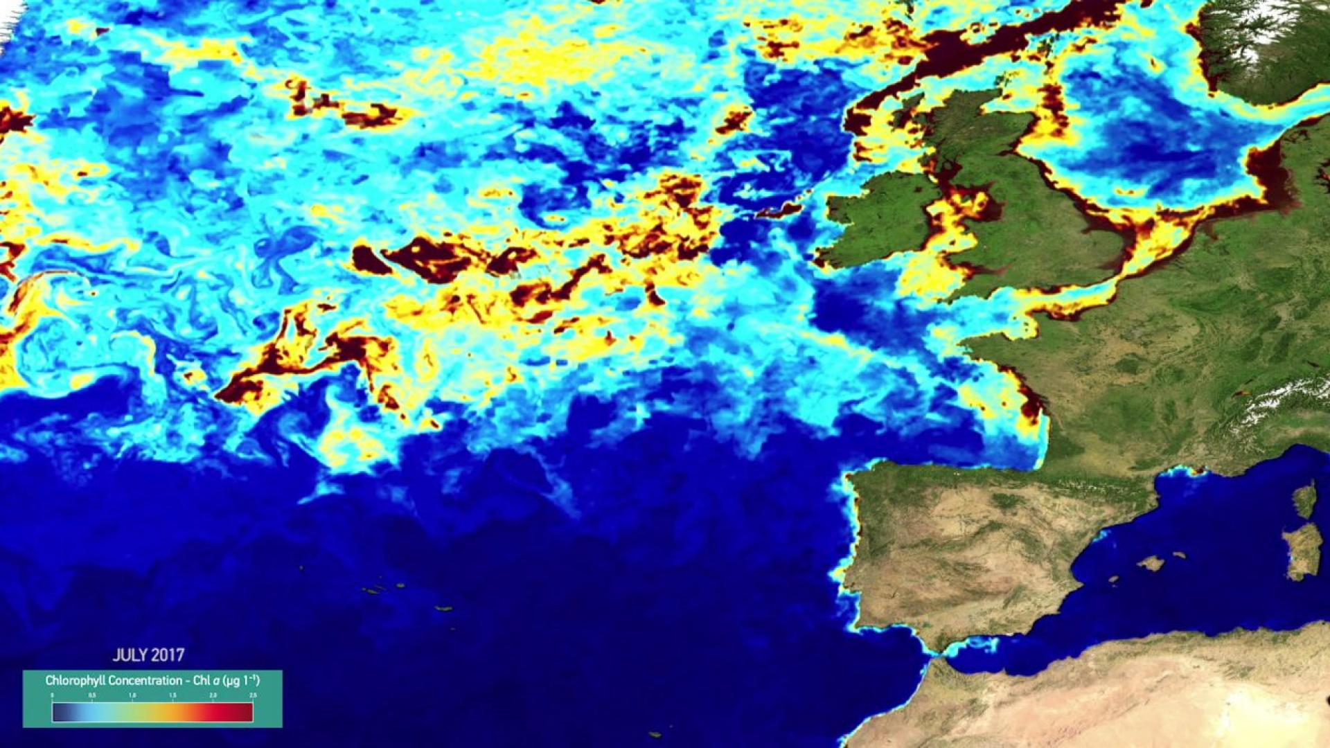 Hayley Evers-King talks about marine data