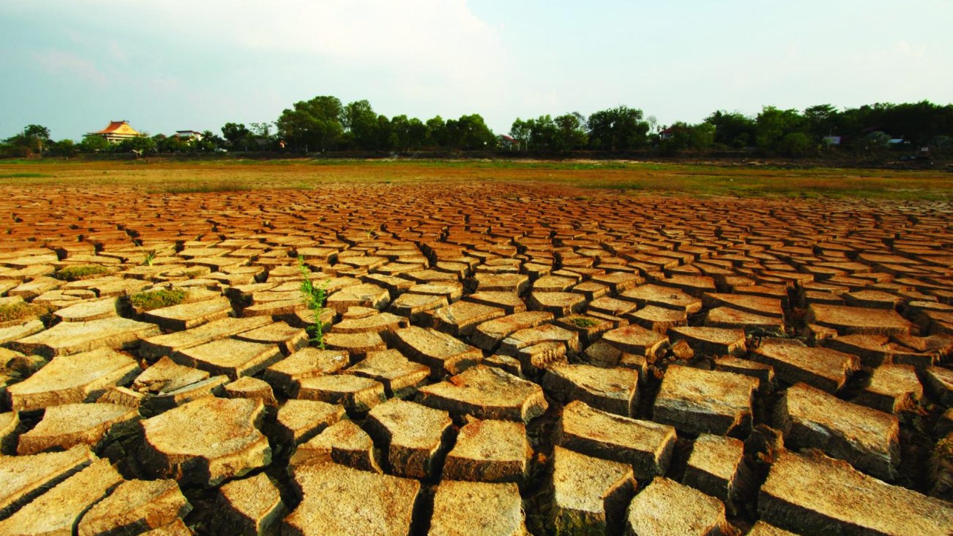 How satellites can help detect impending droughts