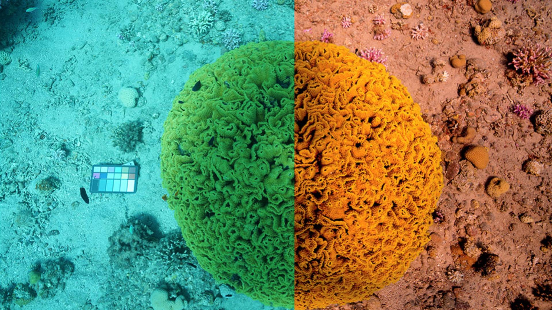 Underwater imaging enhanced with the help of Sentinel-3 Underwater imaging enhanced with the help of Sentinel-3