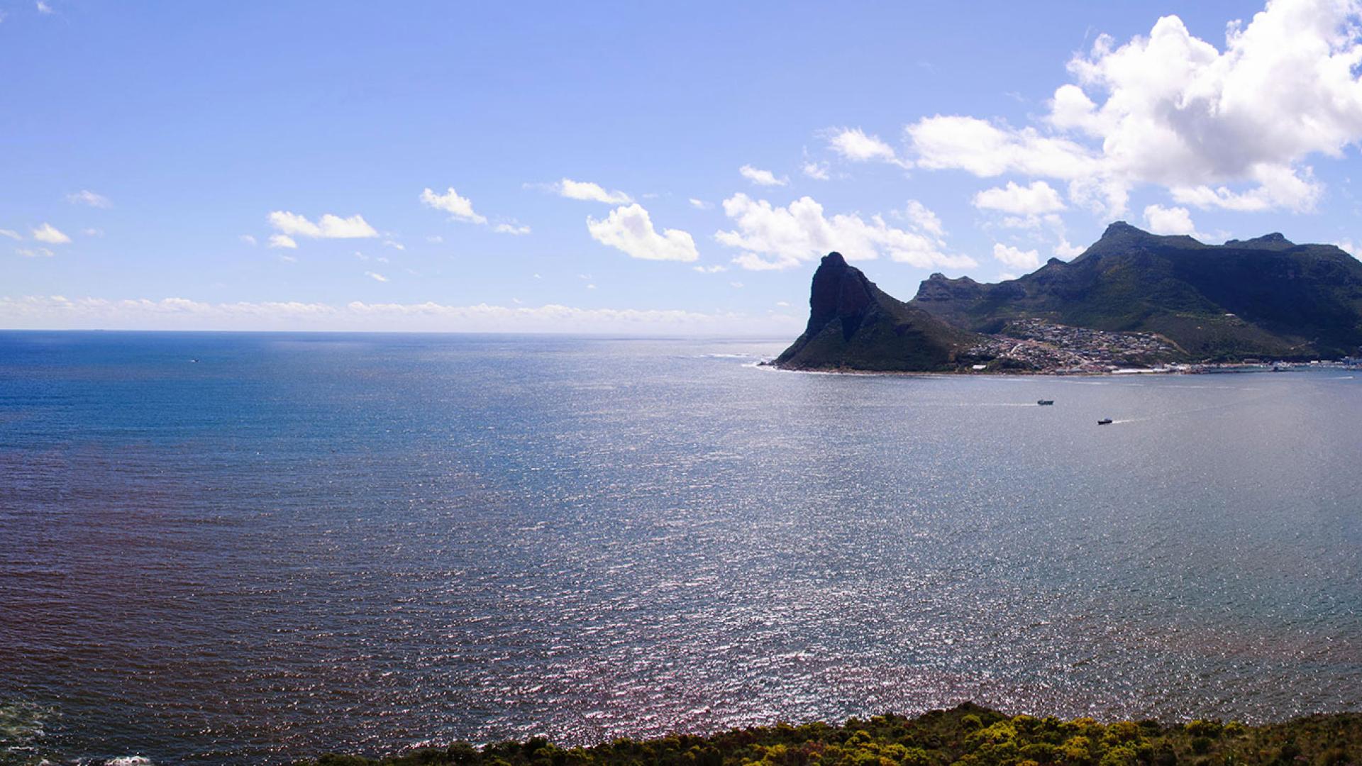South African algal blooms