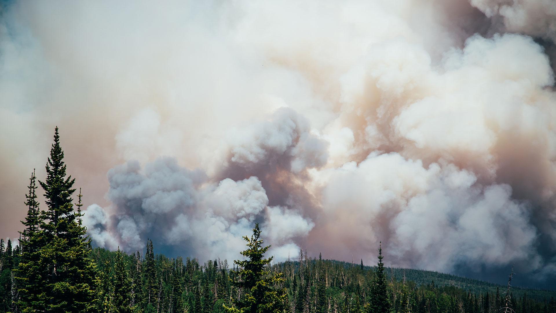 Clouds of smoke over a forest. Credit: Jordan 