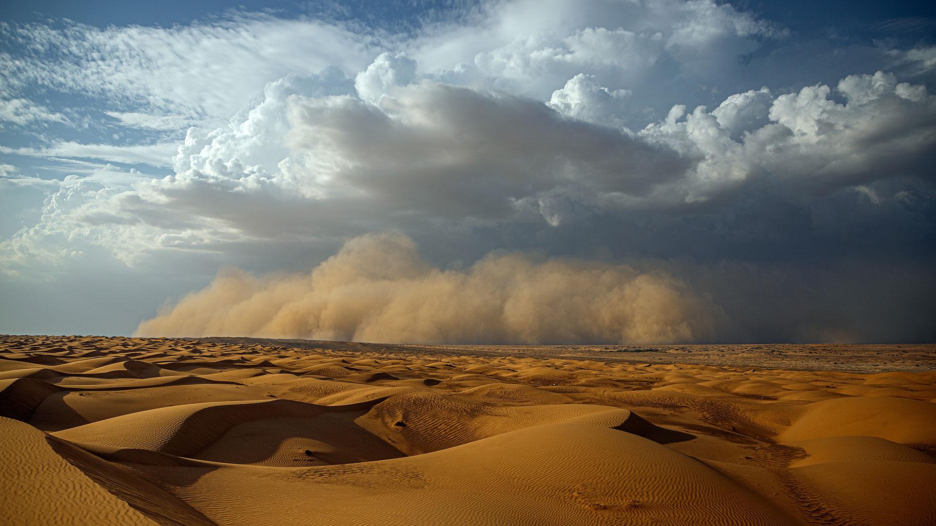 Sahara desert. Credit: Abdullah 