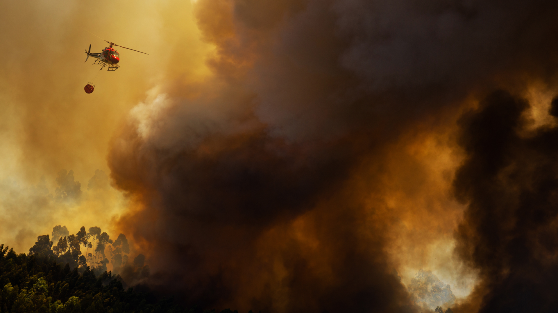 I-RUFA Eurocopter AS 350B3 Firefighter, dropping water in a Forest Fire during Day in Povoa de Lanhoso, Portugal. I-RUFA Eurocopter AS 350B3 Firefighter, dropping water in a Forest Fire during Day in Povoa de Lanhoso, Portugal.