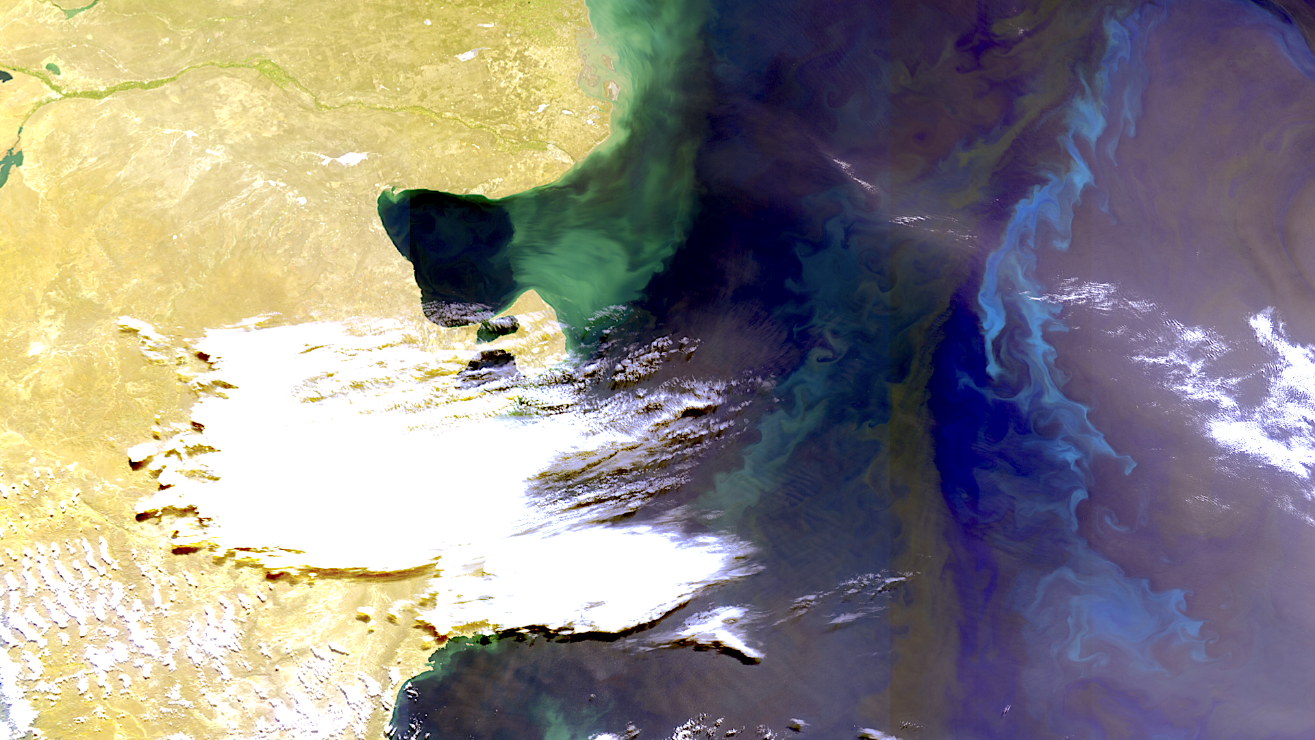 IOW Ocean Color