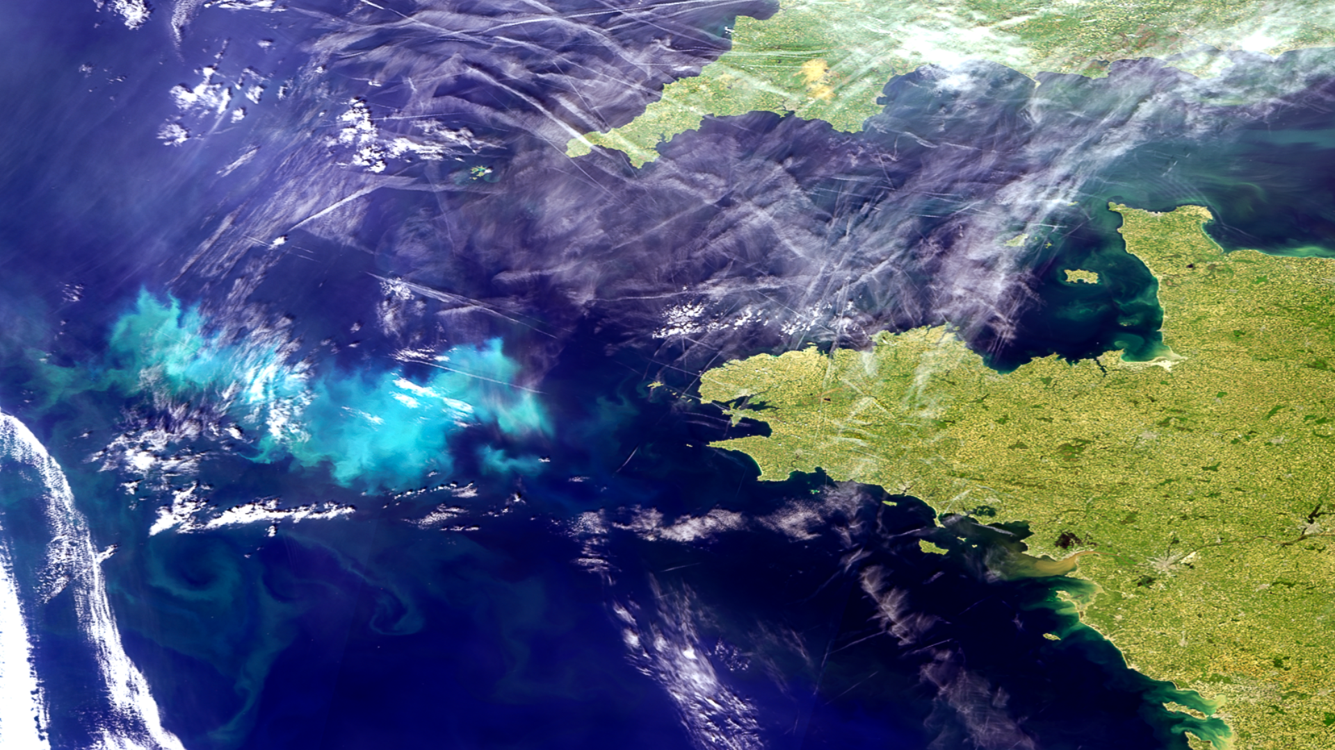 Phytoplankton blooms west of Brittany, France
