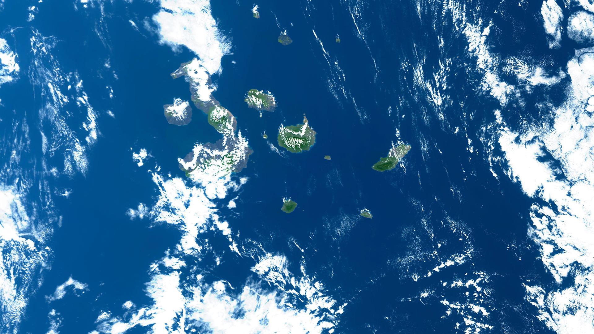 The Galápagos Islands The Galápagos Islands