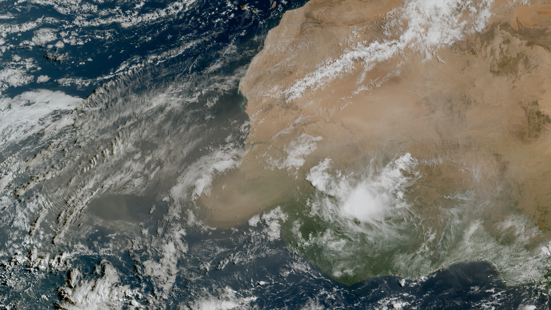 Saharan dust from space