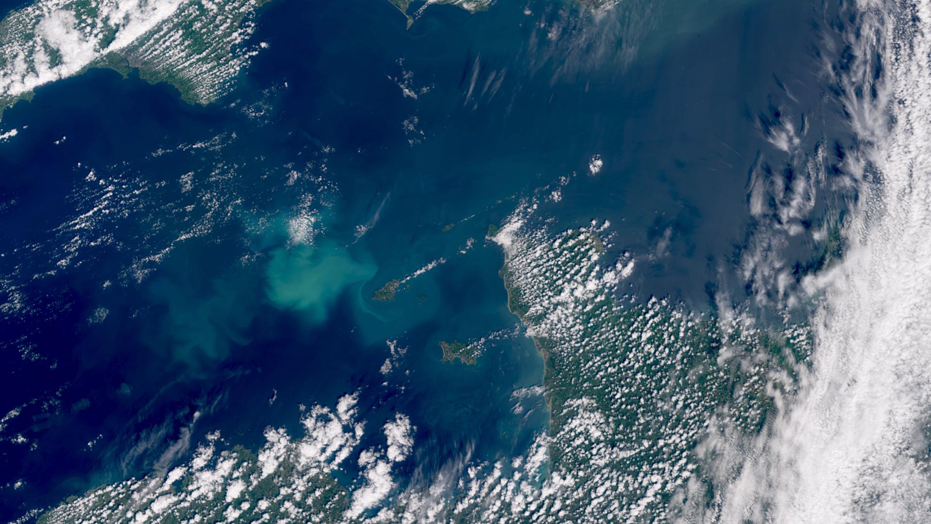 Phytoplankton bloom in English channel