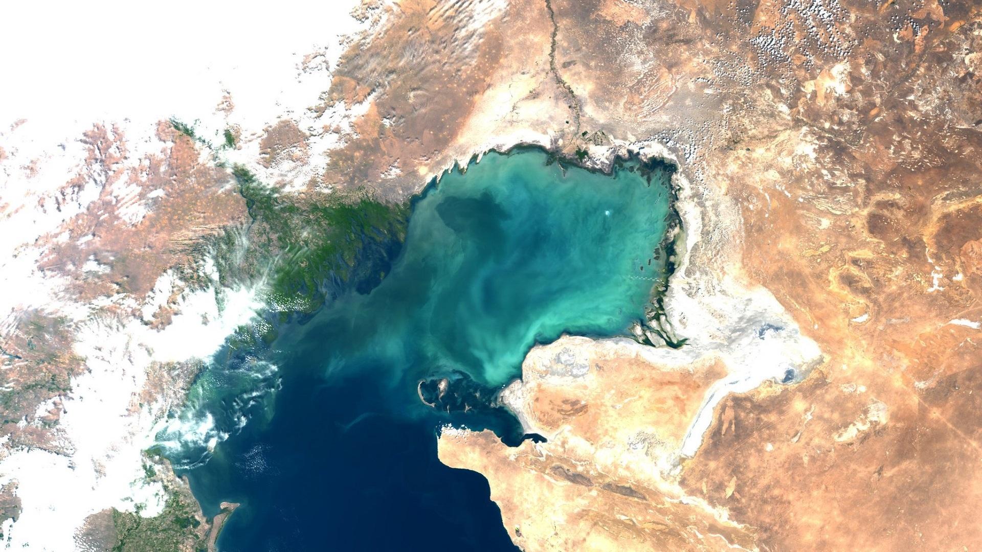 Algal bloom in the Caspian Sea