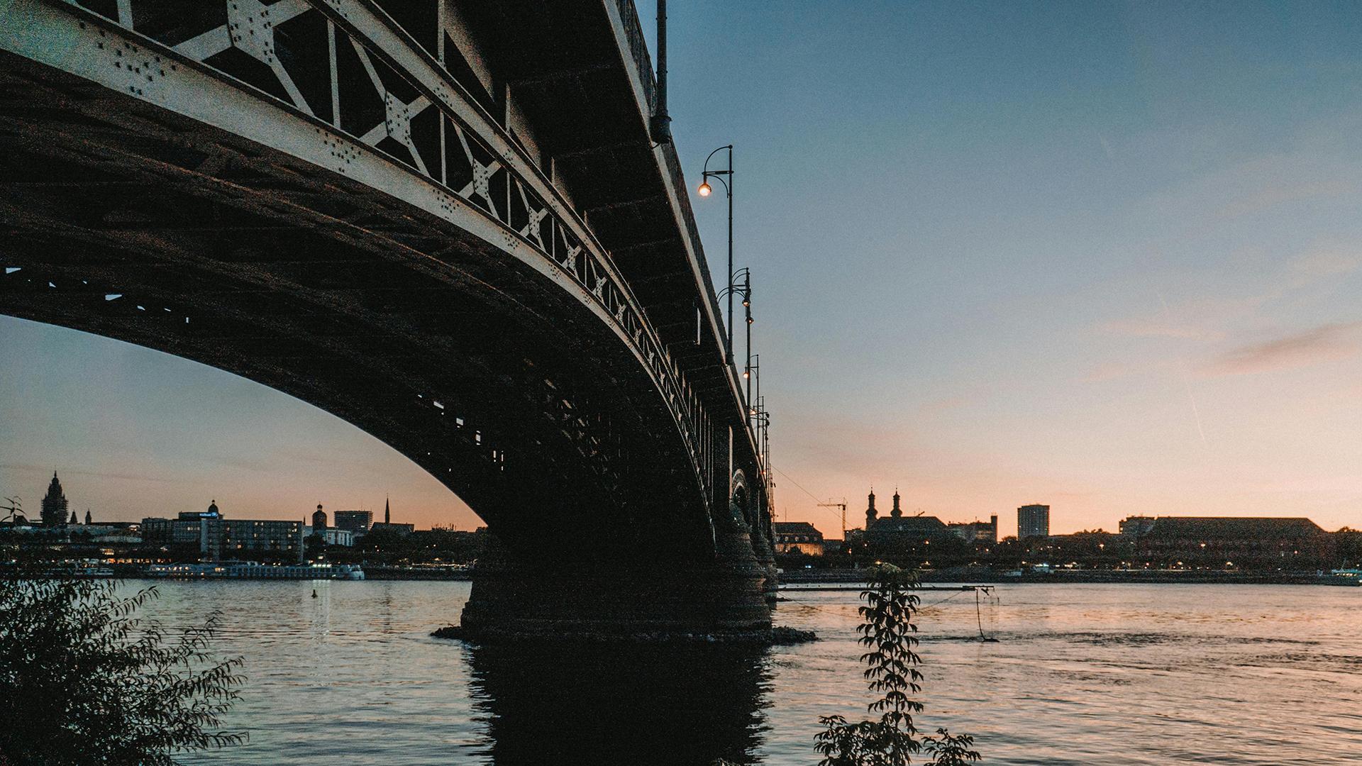 Theodor Heuss Bridge