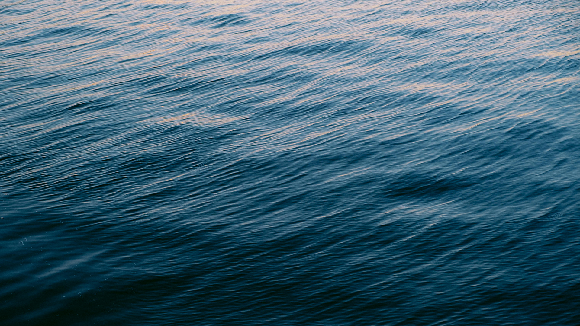 pexels matreding 17960018-sea-levels