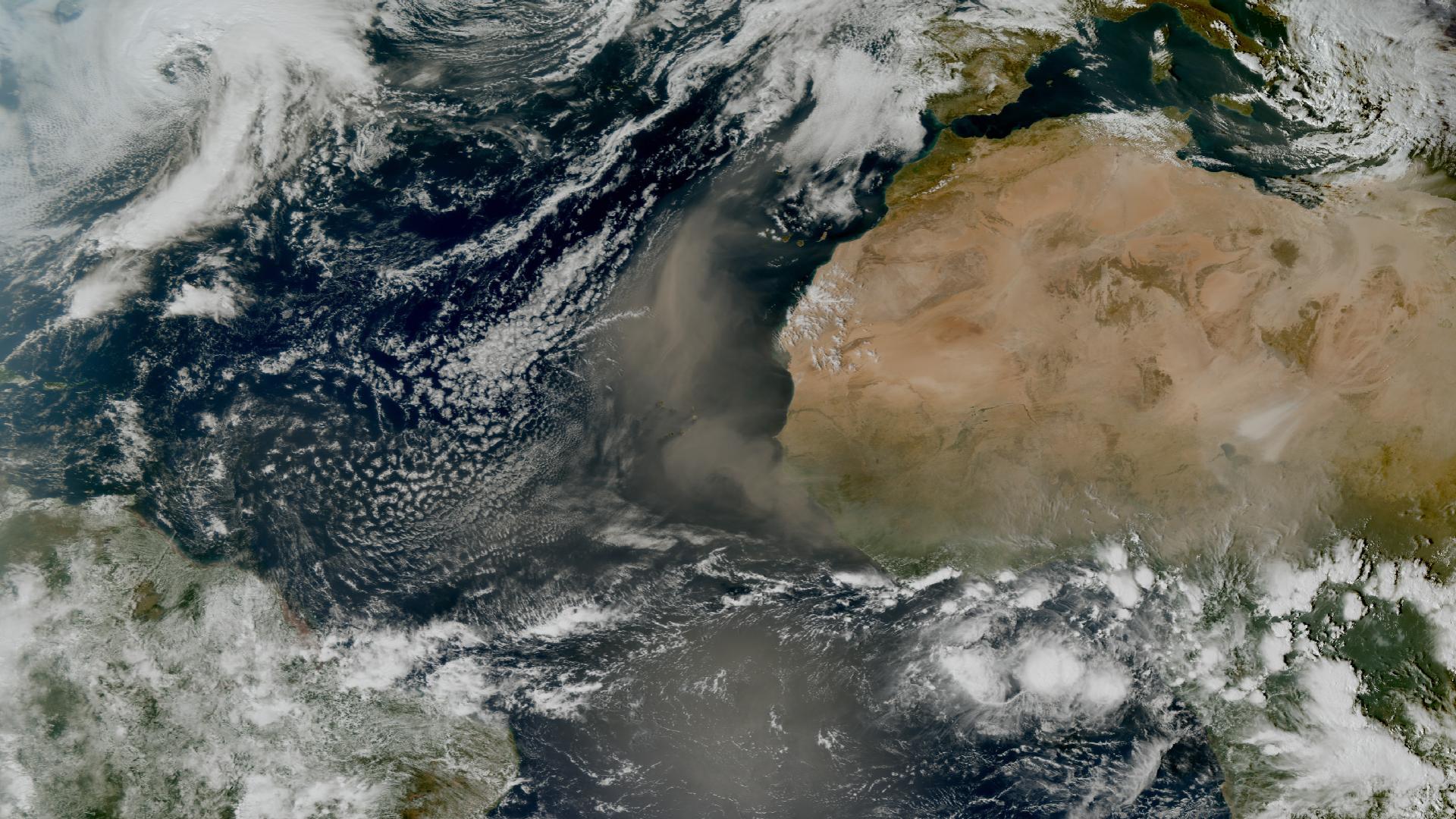Saharan dust, Meteosat-12, 15:00, 17 February 2026