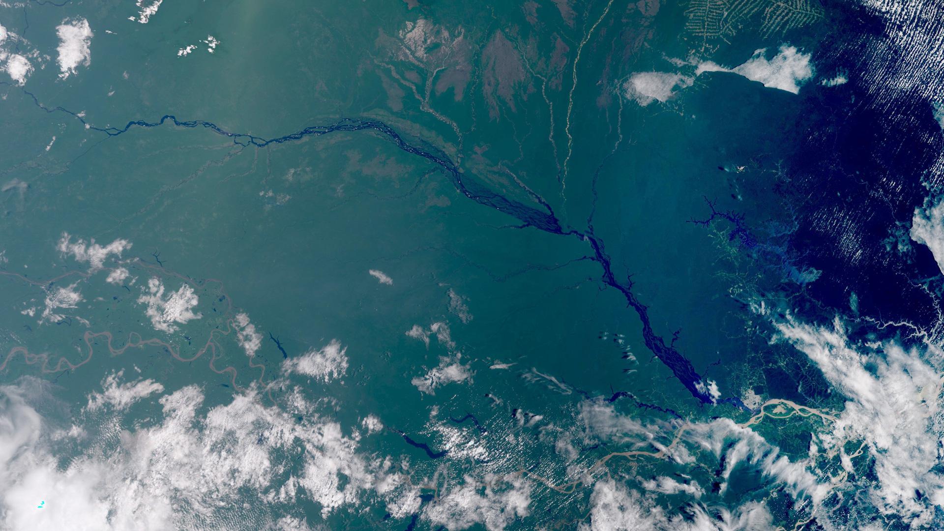 Image of the week: Amazon Basin on World Wildlife Day | EUMETSAT
