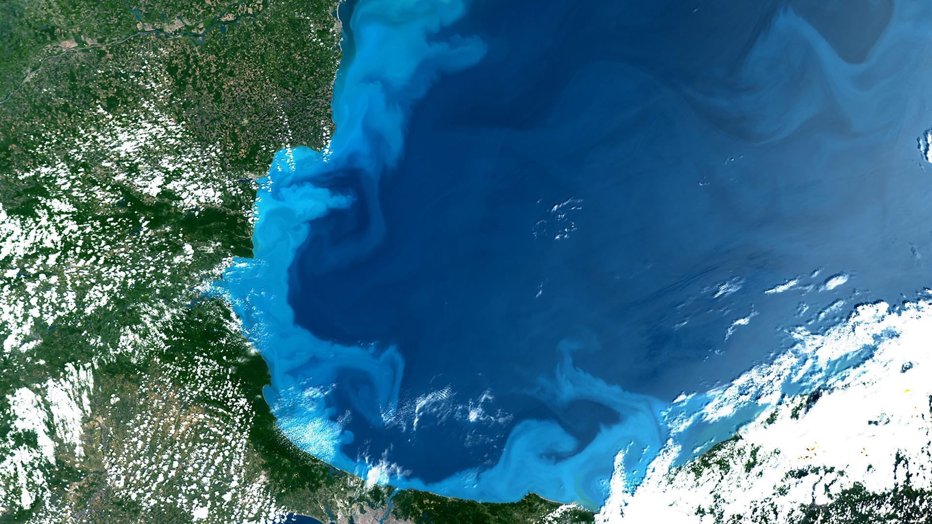 Marine algae bloom in the Black Sea, Sentinel-3, 25 May 2026
