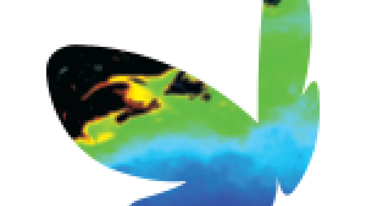2015 EMSC conference logo