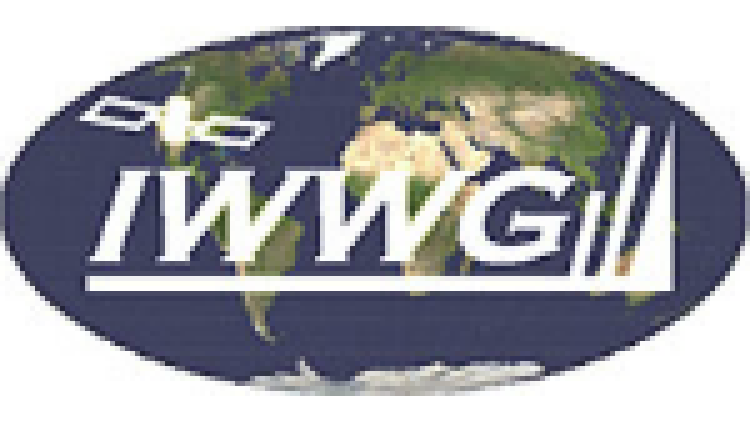 11th International Winds Workshop Logo