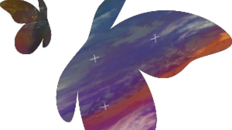 Thumbnail - Conference 2018 - Butterfly