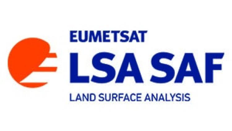 LSA SAF logo
