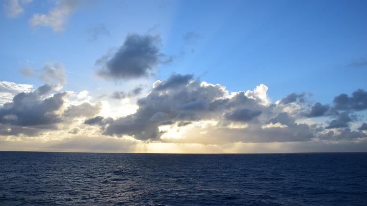 view To Tropics