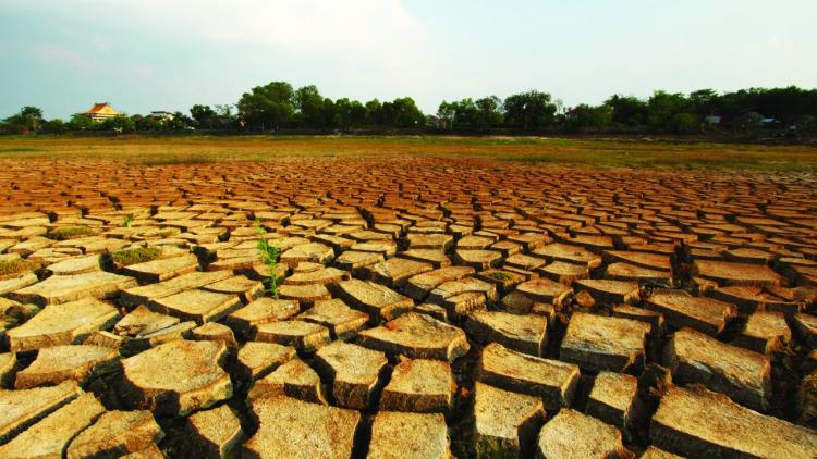 How satellites can help detect impending droughts