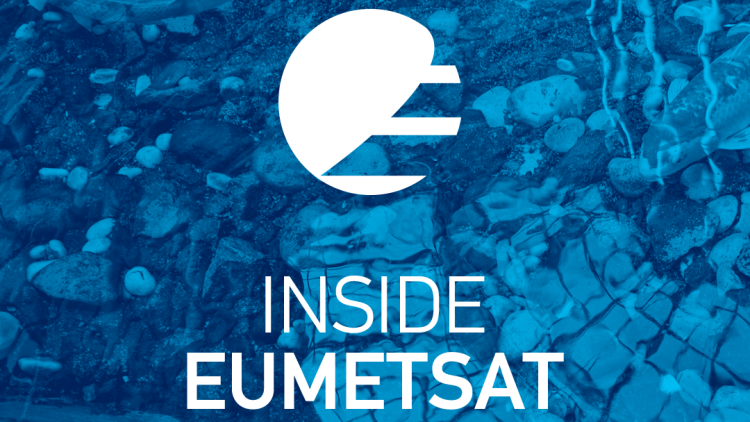 Fish - TN logo