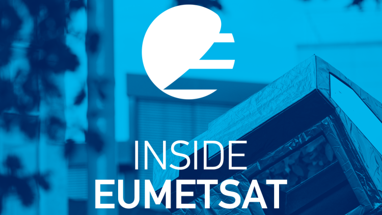 satellite - TN logo