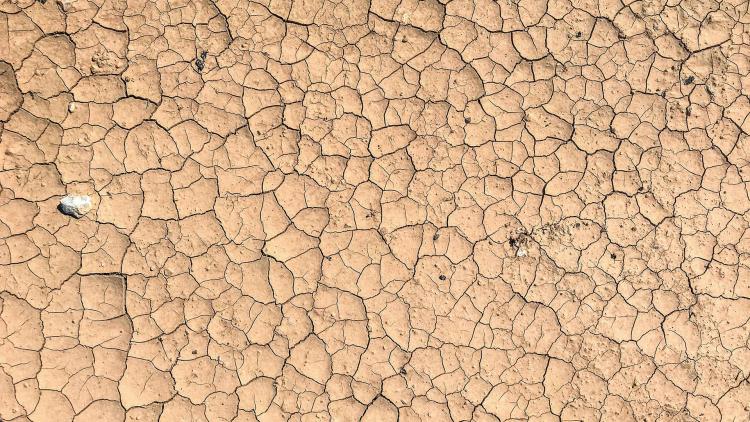 parched ground