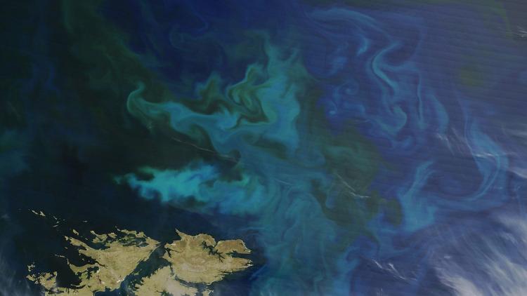 Image - Sentinel-3 Launch - Ocean Colour