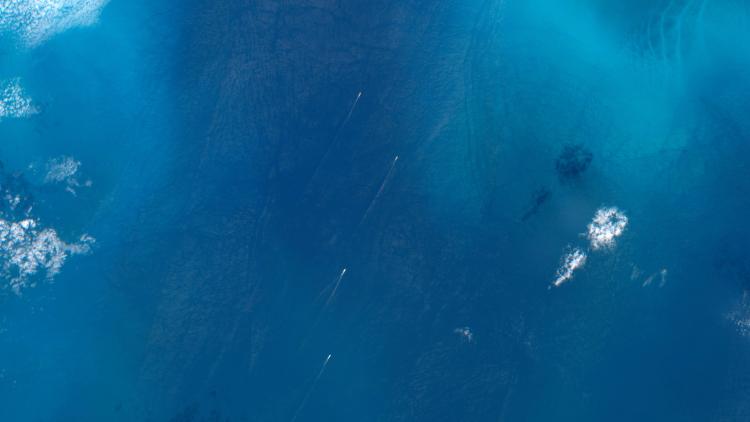 View of ships and phytoplankton bloom from Sentinel-3