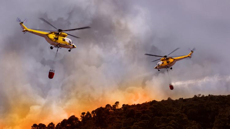 Wildfires