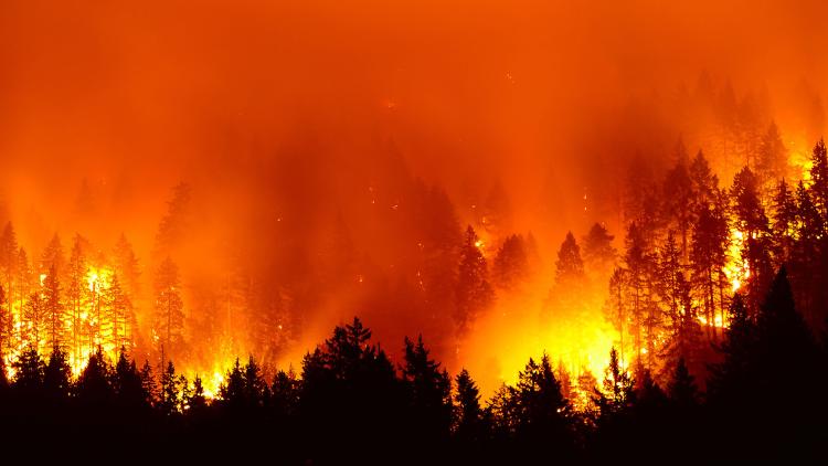 Credit: Adobe Stock / fire image