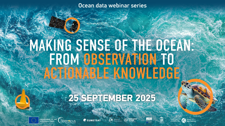 Ocean decade flyer