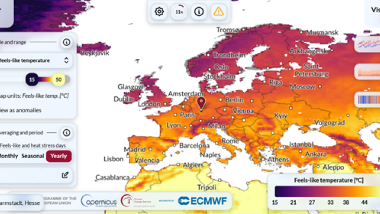 Thermal trace map