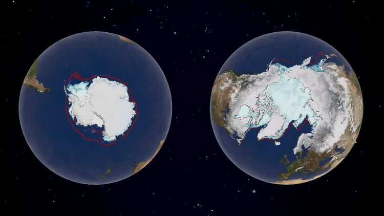 Global sea ice 2024