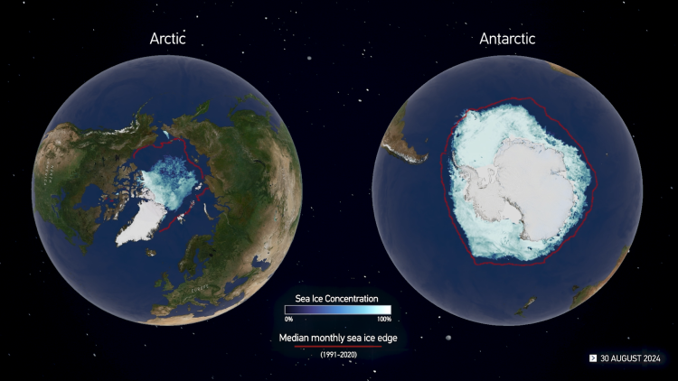 Global sea ice 2024