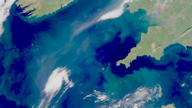 Phytoplankton, Sentinel-3, 27 April 2026