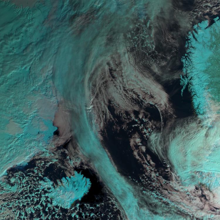 arctic