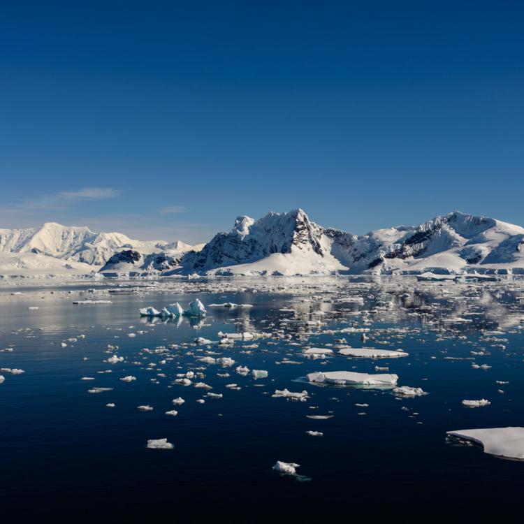 Melting Ice