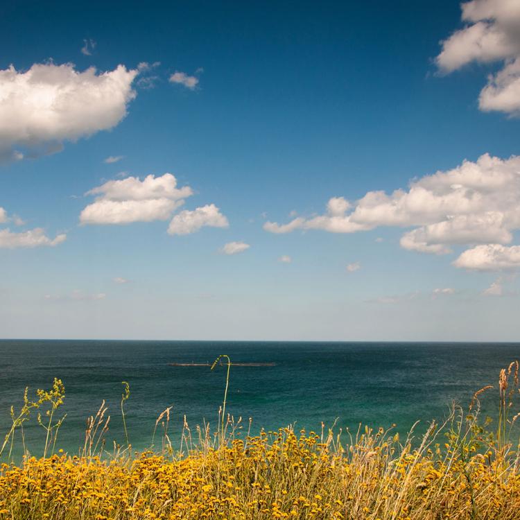 Coastal view. Credit: pxhere