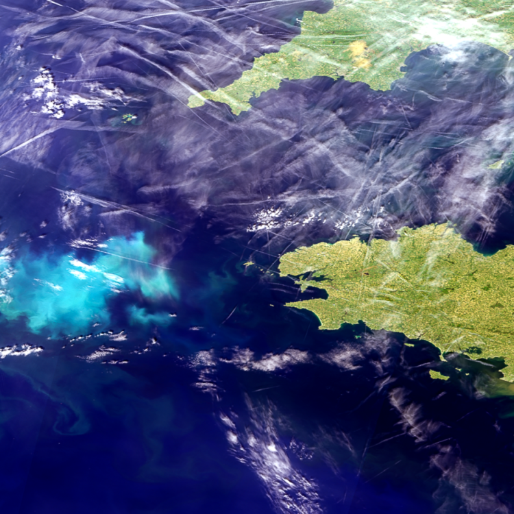 Phytoplankton blooms west of Brittany, France