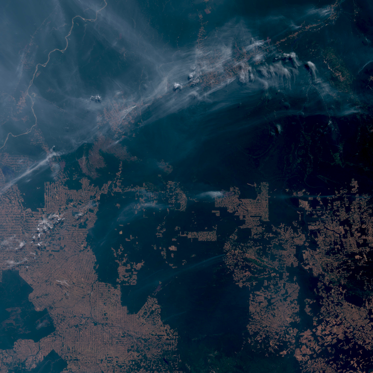 Amazon wildfires