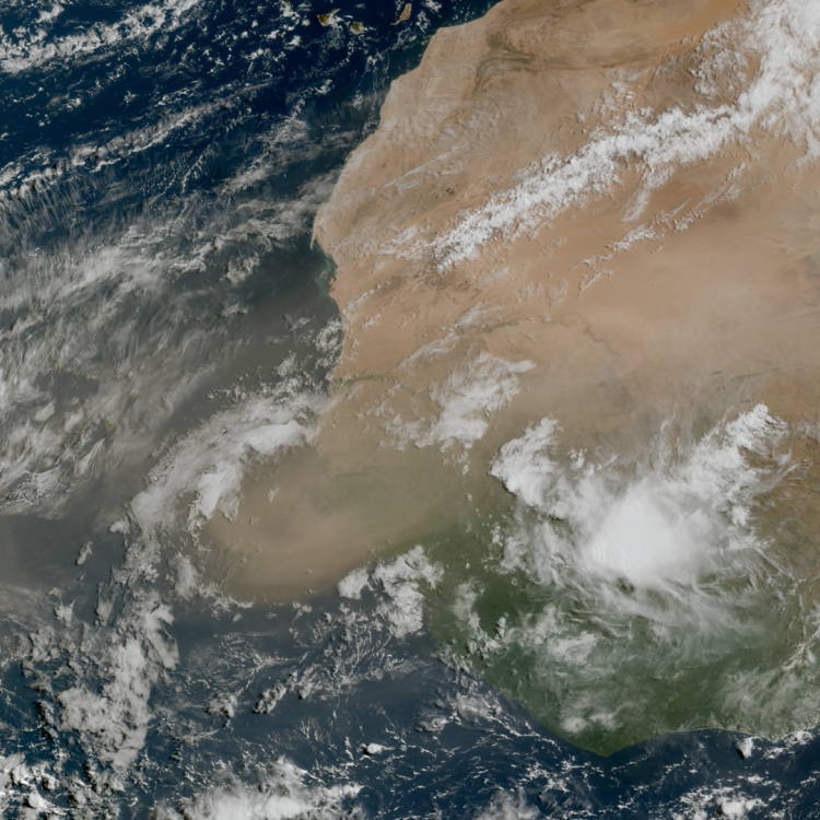 Saharan dust from space