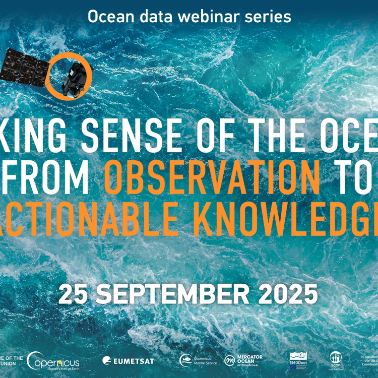 Ocean decade flyer
